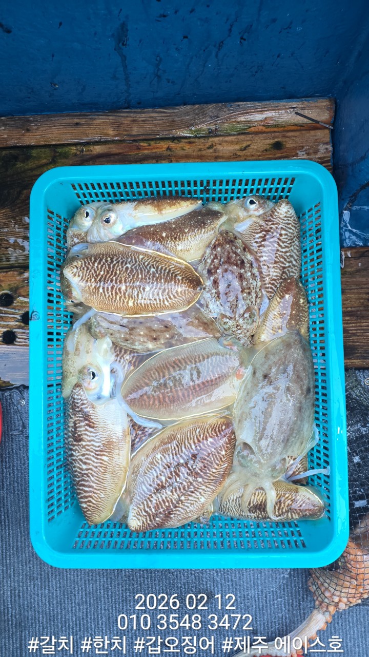 f9b282166b72f1749991c6679df50599_1770951522_054.jpg f9b282166b72f1749991c6679df50599_1770951522_054.jpg