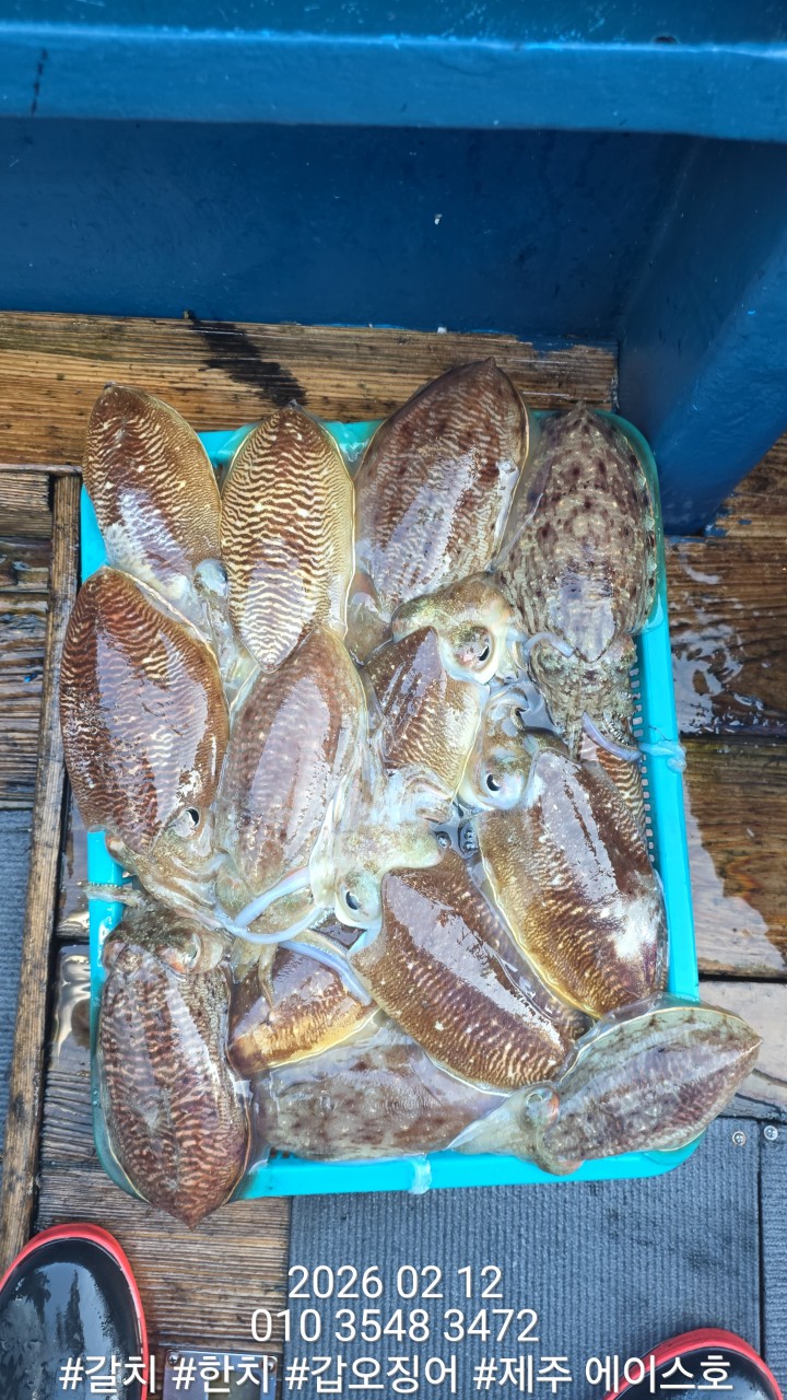 f9b282166b72f1749991c6679df50599_1770951522_153.jpg f9b282166b72f1749991c6679df50599_1770951522_153.jpg