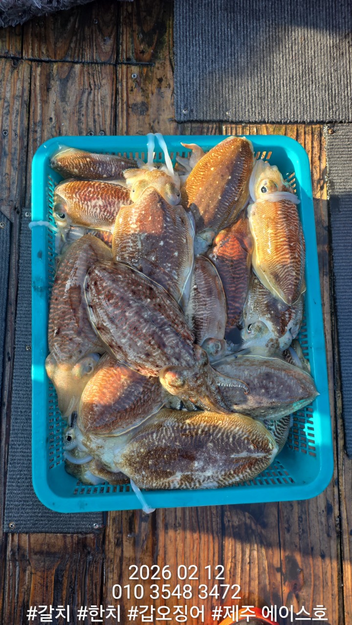 f9b282166b72f1749991c6679df50599_1770951522_2378.jpg f9b282166b72f1749991c6679df50599_1770951522_2378.jpg