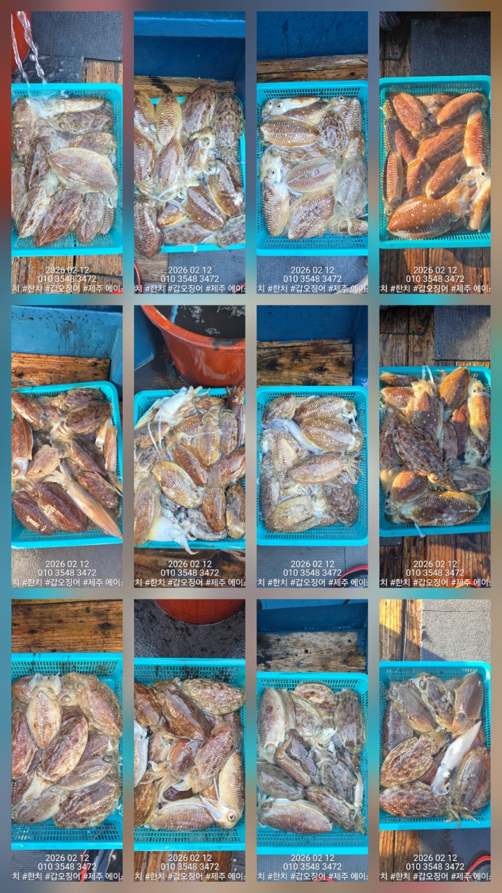 f9b282166b72f1749991c6679df50599_1770951522_3305.jpg f9b282166b72f1749991c6679df50599_1770951522_3305.jpg