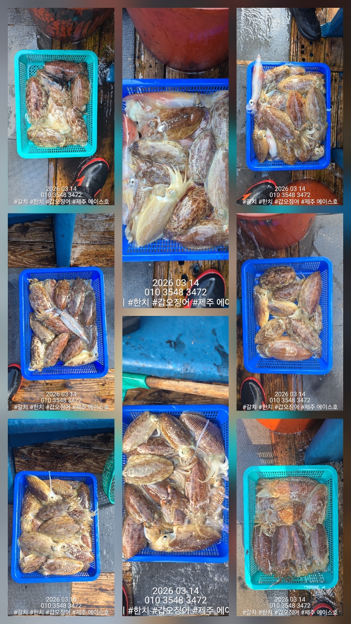 097e9672e0edba24c1b4758abe073d0d_1773542901_1913.jpg 097e9672e0edba24c1b4758abe073d0d_1773542901_1913.jpg