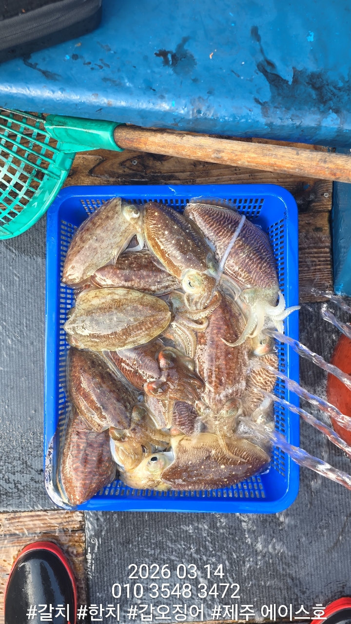 097e9672e0edba24c1b4758abe073d0d_1773542901_3353.jpg 097e9672e0edba24c1b4758abe073d0d_1773542901_3353.jpg