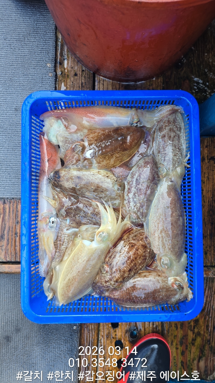 097e9672e0edba24c1b4758abe073d0d_1773542902_0582.jpg 097e9672e0edba24c1b4758abe073d0d_1773542902_0582.jpg