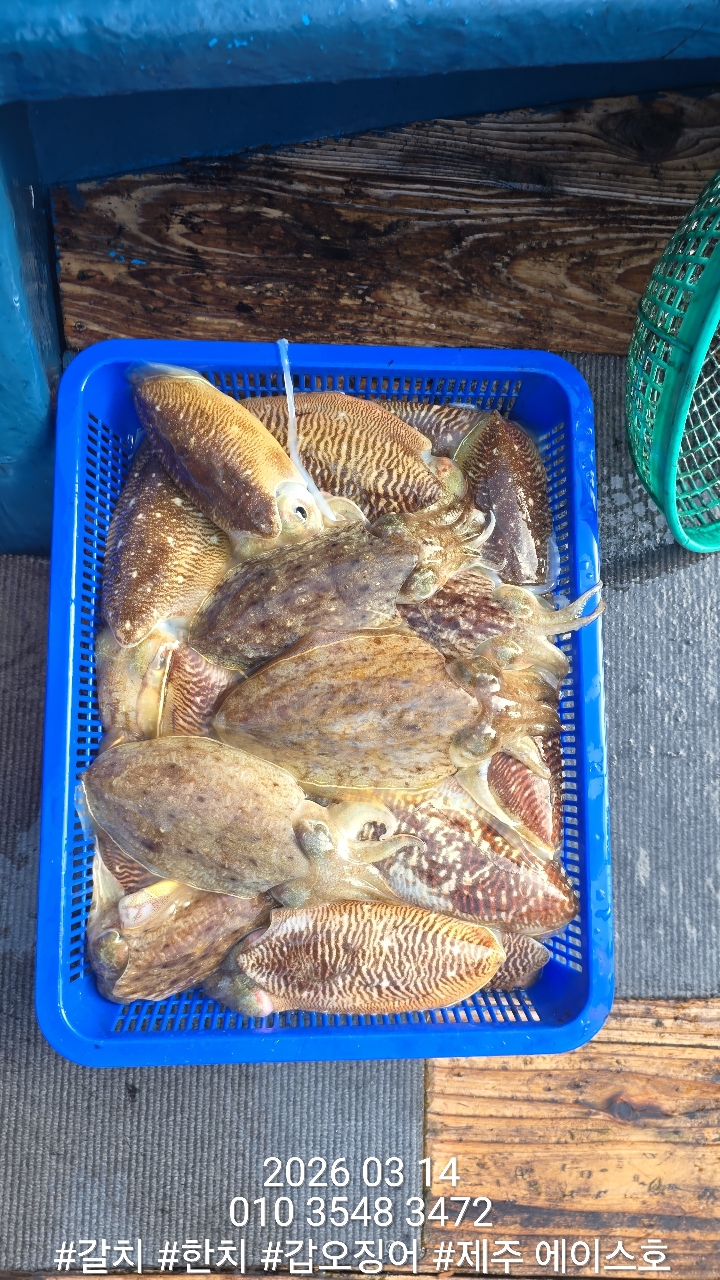 097e9672e0edba24c1b4758abe073d0d_1773542902_2331.jpg 097e9672e0edba24c1b4758abe073d0d_1773542902_2331.jpg