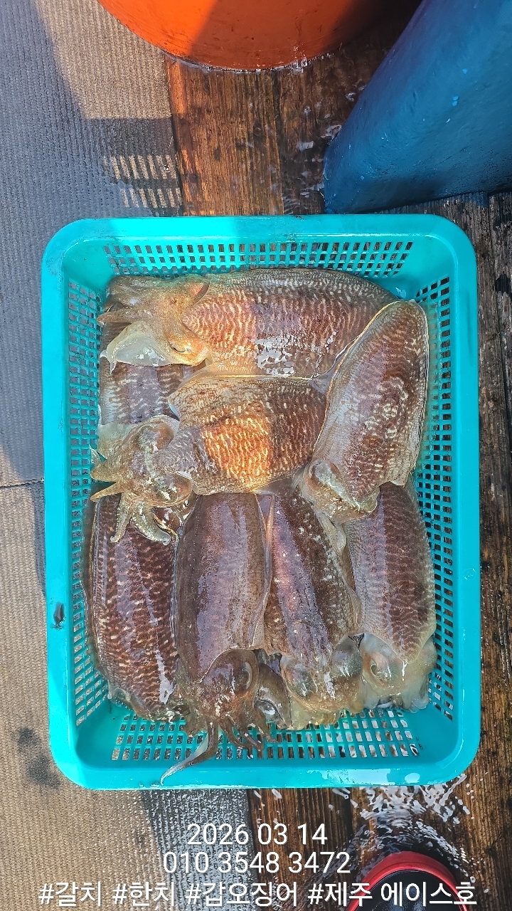 097e9672e0edba24c1b4758abe073d0d_1773542902_4042.jpg 097e9672e0edba24c1b4758abe073d0d_1773542902_4042.jpg