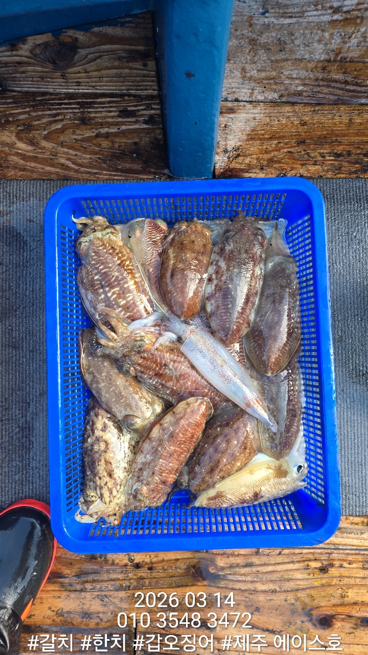 097e9672e0edba24c1b4758abe073d0d_1773542903_071.jpg 097e9672e0edba24c1b4758abe073d0d_1773542903_071.jpg