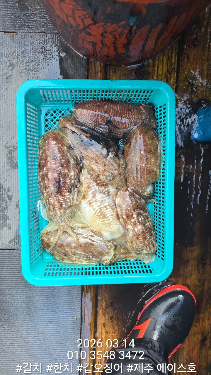 097e9672e0edba24c1b4758abe073d0d_1773542903_2487.jpg 097e9672e0edba24c1b4758abe073d0d_1773542903_2487.jpg