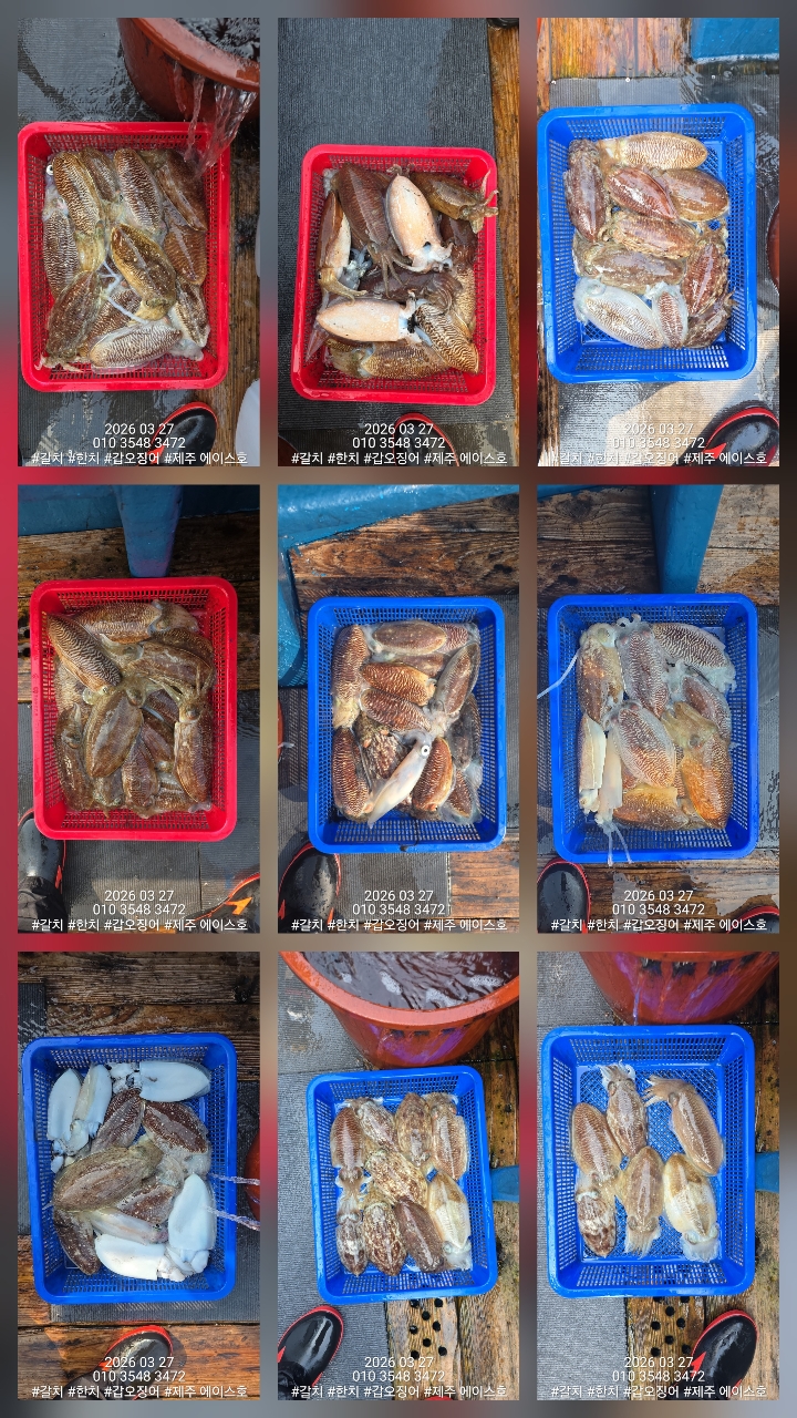 38460640f1e500099457ad48aae10196_1774662130_6448.jpg 38460640f1e500099457ad48aae10196_1774662130_6448.jpg