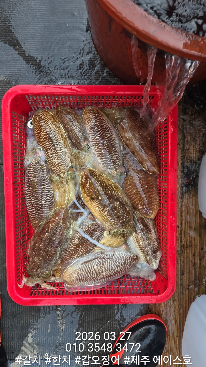 38460640f1e500099457ad48aae10196_1774662130_8028.jpg 38460640f1e500099457ad48aae10196_1774662130_8028.jpg