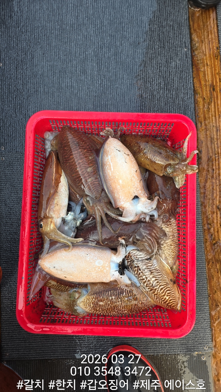 38460640f1e500099457ad48aae10196_1774662131_0875.jpg 38460640f1e500099457ad48aae10196_1774662131_0875.jpg