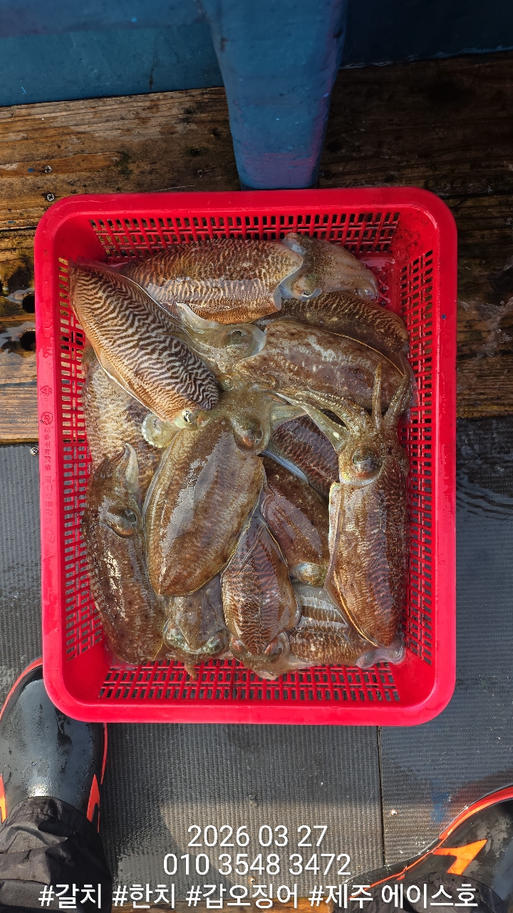 38460640f1e500099457ad48aae10196_1774662131_3311.jpg 38460640f1e500099457ad48aae10196_1774662131_3311.jpg