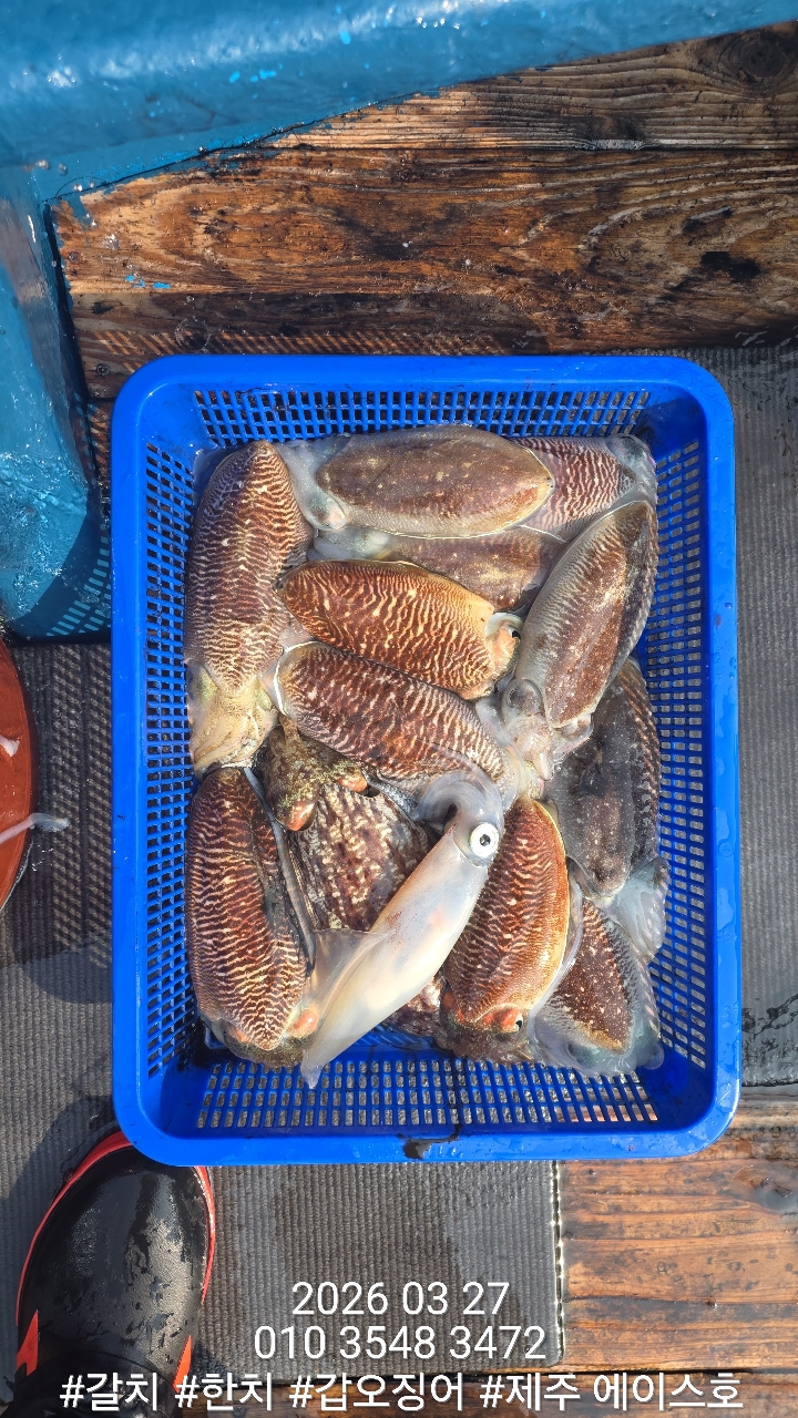 38460640f1e500099457ad48aae10196_1774662131_5882.jpg 38460640f1e500099457ad48aae10196_1774662131_5882.jpg