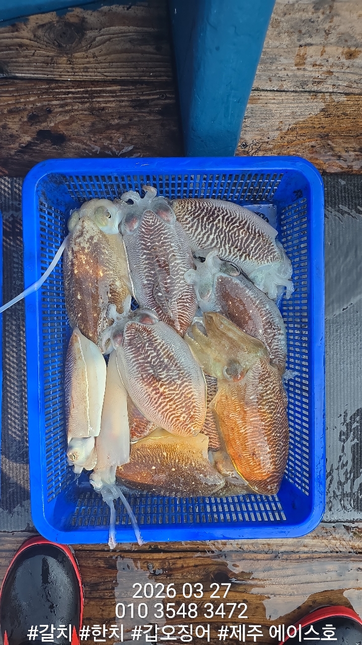 38460640f1e500099457ad48aae10196_1774662131_8517.jpg 38460640f1e500099457ad48aae10196_1774662131_8517.jpg