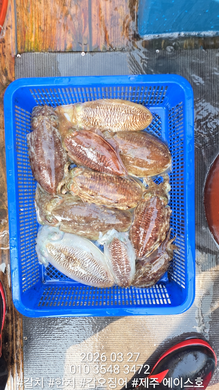 38460640f1e500099457ad48aae10196_1774662132_1115.jpg 38460640f1e500099457ad48aae10196_1774662132_1115.jpg