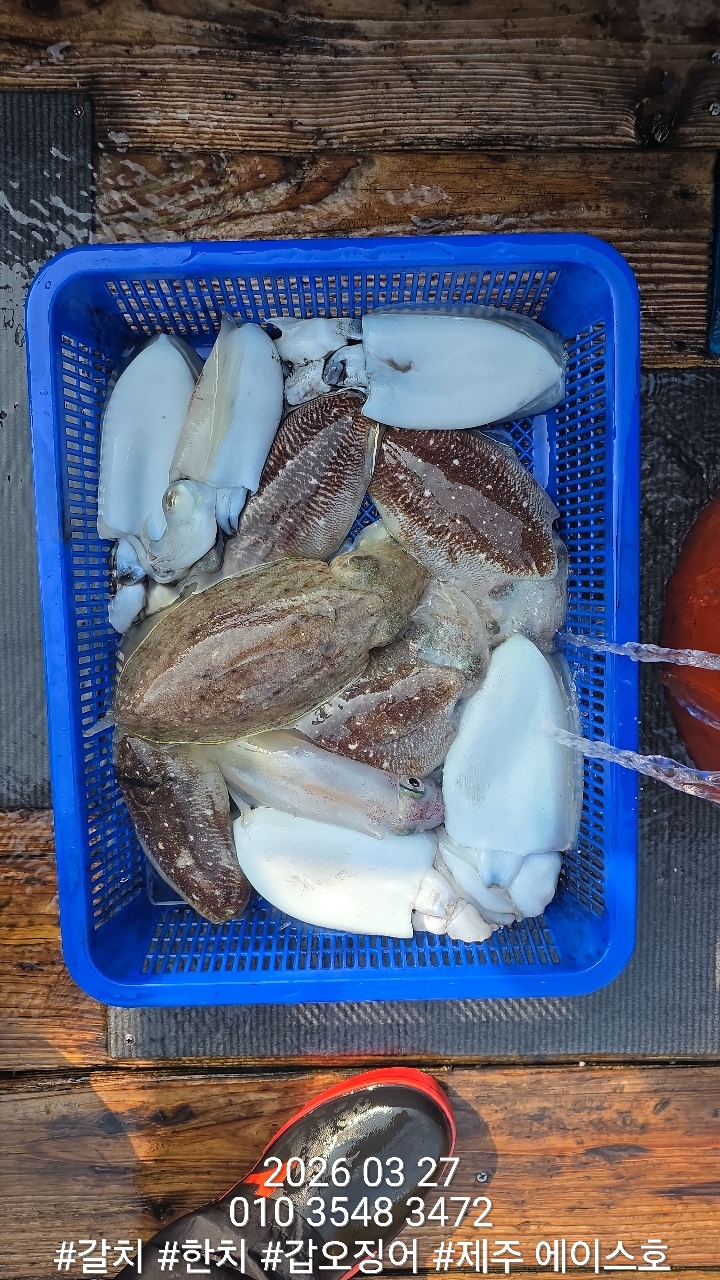 38460640f1e500099457ad48aae10196_1774662132_3399.jpg 38460640f1e500099457ad48aae10196_1774662132_3399.jpg