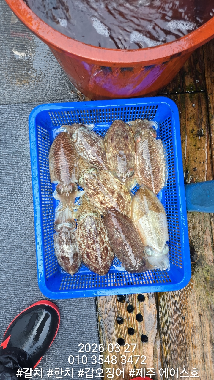 38460640f1e500099457ad48aae10196_1774662132_5681.jpg 38460640f1e500099457ad48aae10196_1774662132_5681.jpg