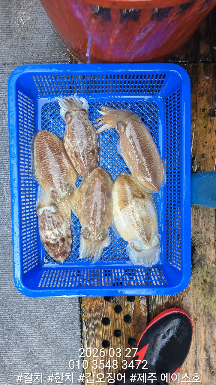 38460640f1e500099457ad48aae10196_1774662132_7389.jpg 38460640f1e500099457ad48aae10196_1774662132_7389.jpg