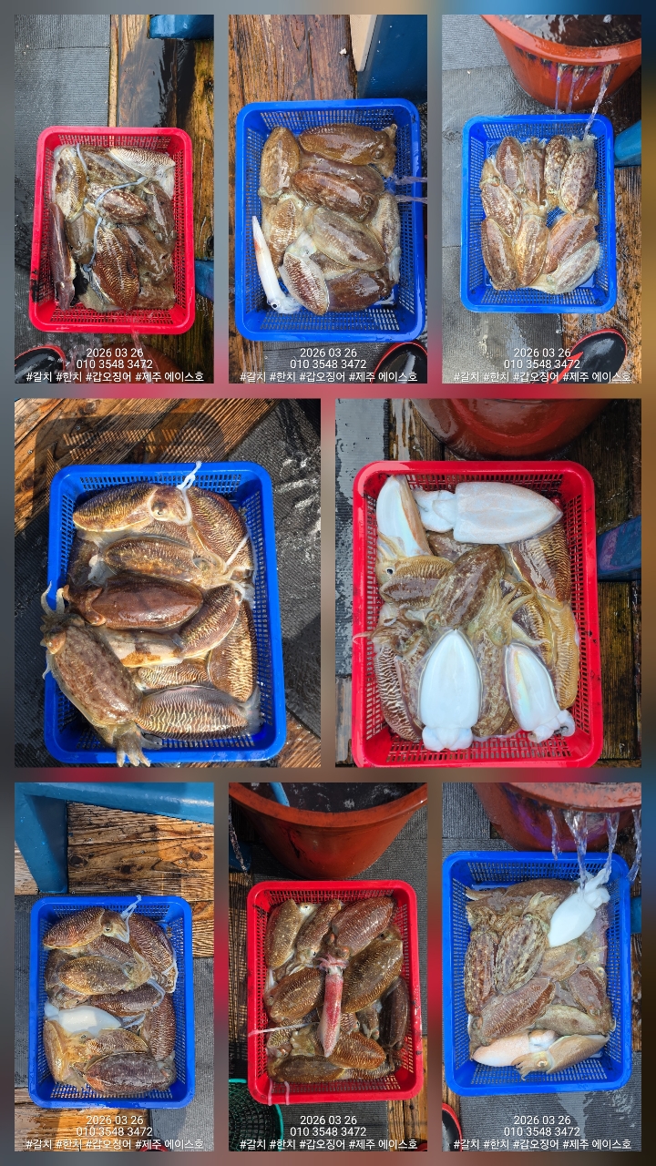 88fa4968dae87847657c5e4f0658b8ba_1774579879_4059.jpg 88fa4968dae87847657c5e4f0658b8ba_1774579879_4059.jpg