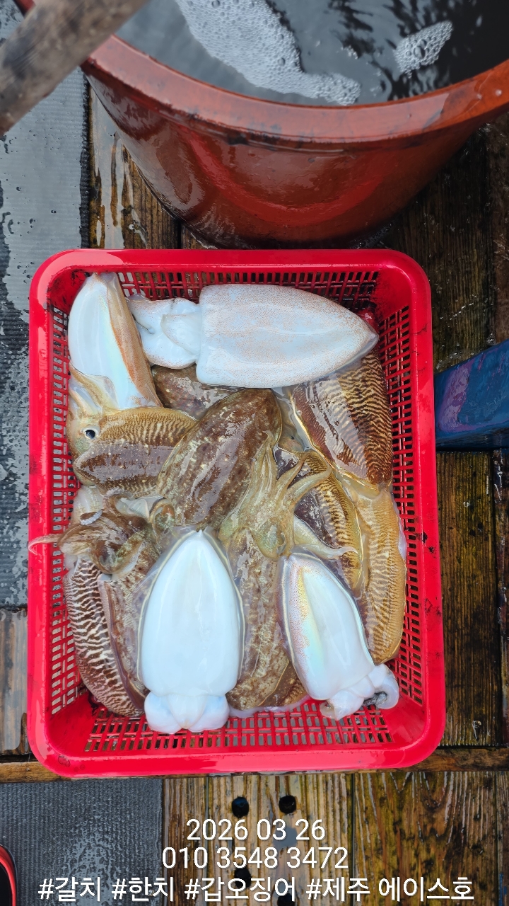 88fa4968dae87847657c5e4f0658b8ba_1774579879_6771.jpg 88fa4968dae87847657c5e4f0658b8ba_1774579879_6771.jpg