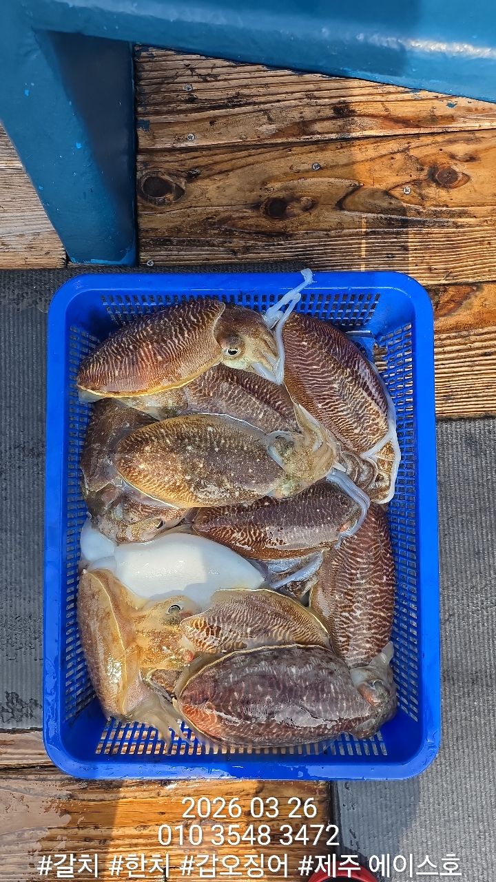 88fa4968dae87847657c5e4f0658b8ba_1774579880_0038.jpg 88fa4968dae87847657c5e4f0658b8ba_1774579880_0038.jpg