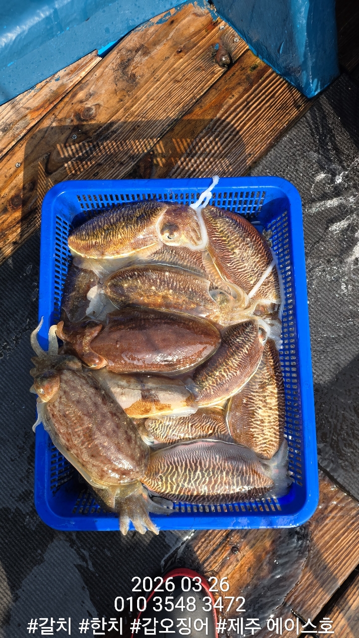 88fa4968dae87847657c5e4f0658b8ba_1774579880_2022.jpg 88fa4968dae87847657c5e4f0658b8ba_1774579880_2022.jpg