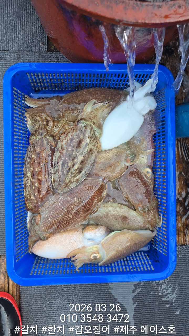 88fa4968dae87847657c5e4f0658b8ba_1774579880_4209.jpg 88fa4968dae87847657c5e4f0658b8ba_1774579880_4209.jpg