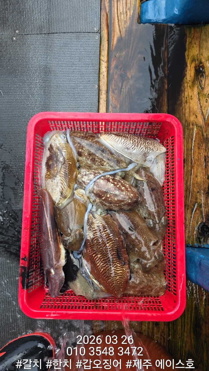 88fa4968dae87847657c5e4f0658b8ba_1774579880_7147.jpg 88fa4968dae87847657c5e4f0658b8ba_1774579880_7147.jpg