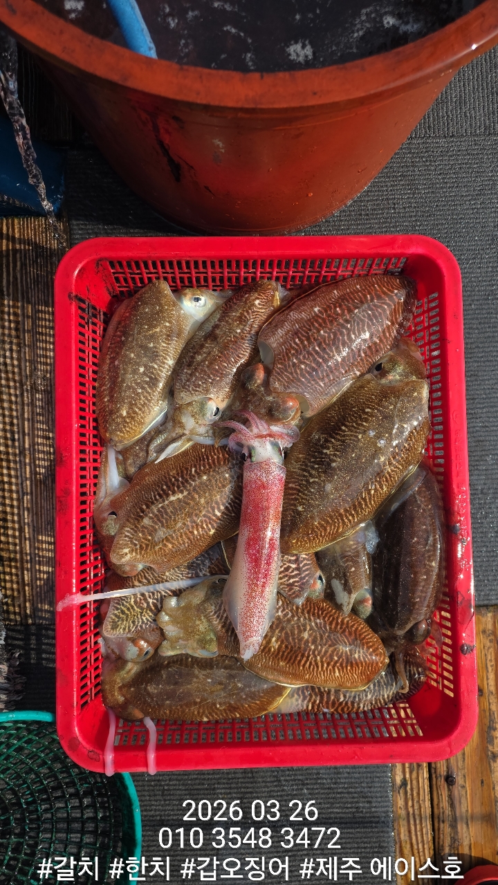 88fa4968dae87847657c5e4f0658b8ba_1774579880_9626.jpg 88fa4968dae87847657c5e4f0658b8ba_1774579880_9626.jpg