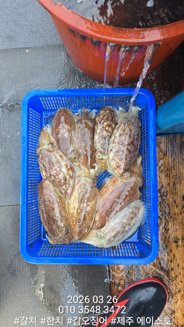 88fa4968dae87847657c5e4f0658b8ba_1774579881_1511.jpg 88fa4968dae87847657c5e4f0658b8ba_1774579881_1511.jpg