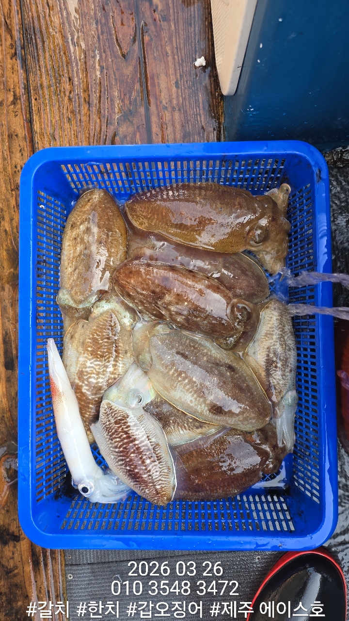 88fa4968dae87847657c5e4f0658b8ba_1774579881_3421.jpg 88fa4968dae87847657c5e4f0658b8ba_1774579881_3421.jpg