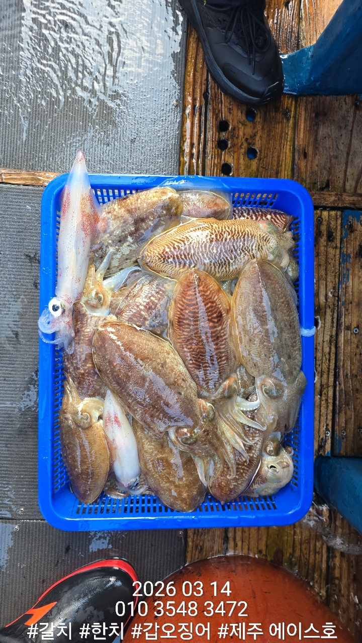 aacb6c2527085efae9fc0c4b6a6d08fa_1773629429_7427.jpg aacb6c2527085efae9fc0c4b6a6d08fa_1773629429_7427.jpg