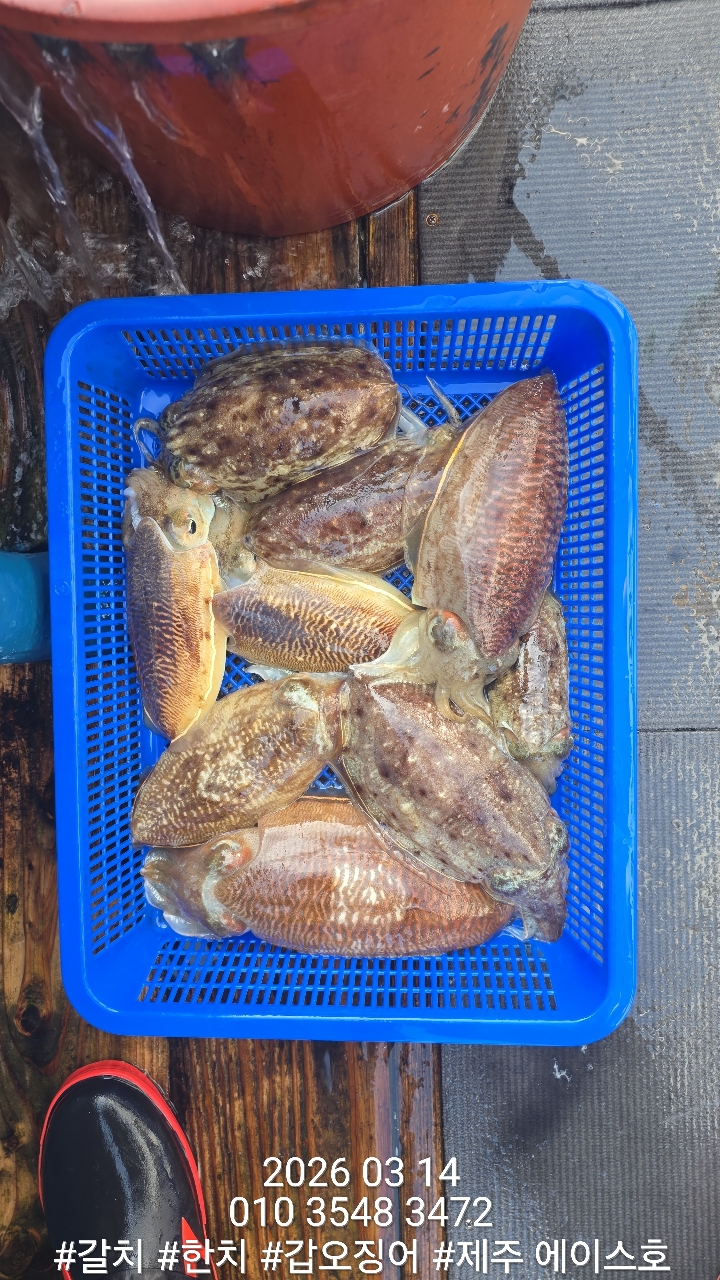 aacb6c2527085efae9fc0c4b6a6d08fa_1773629430_633.jpg aacb6c2527085efae9fc0c4b6a6d08fa_1773629430_633.jpg