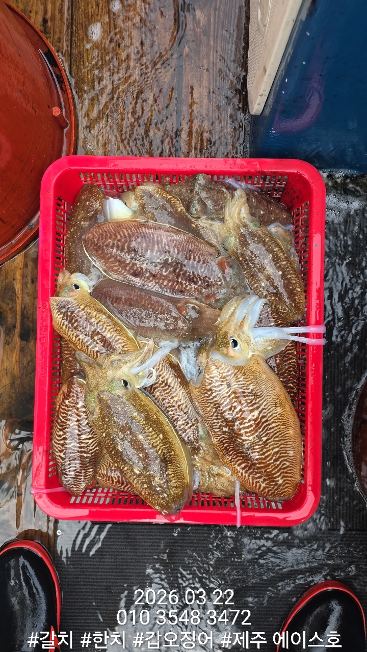 f1c4d1c562d69e0f5d1a4e4843b5b1cc_1774228994_9565.jpg f1c4d1c562d69e0f5d1a4e4843b5b1cc_1774228994_9565.jpg