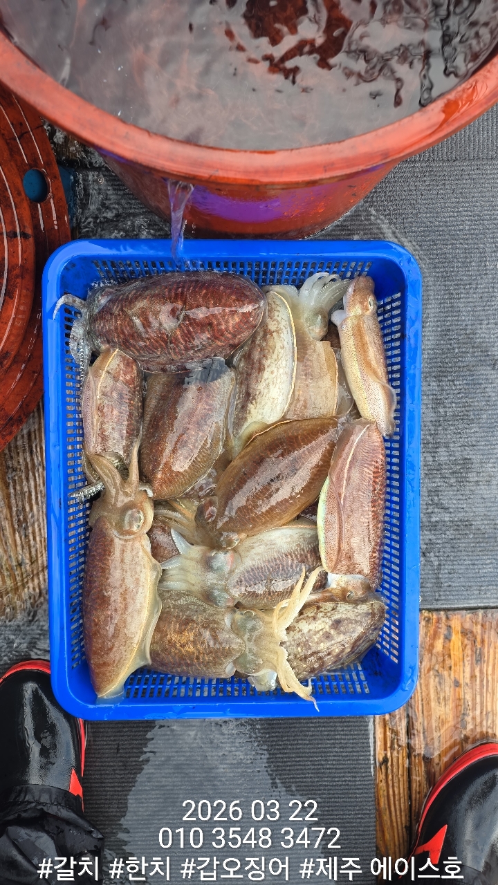 f1c4d1c562d69e0f5d1a4e4843b5b1cc_1774228995_2557.jpg f1c4d1c562d69e0f5d1a4e4843b5b1cc_1774228995_2557.jpg