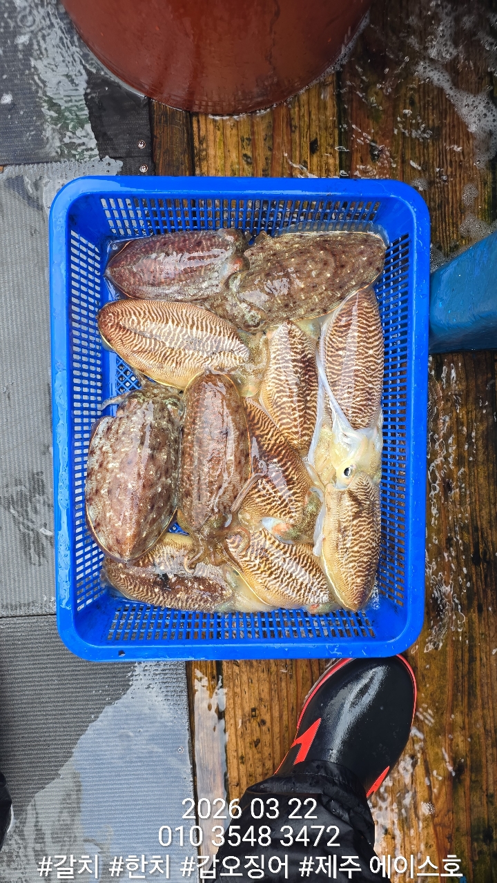 f1c4d1c562d69e0f5d1a4e4843b5b1cc_1774228995_4251.jpg f1c4d1c562d69e0f5d1a4e4843b5b1cc_1774228995_4251.jpg