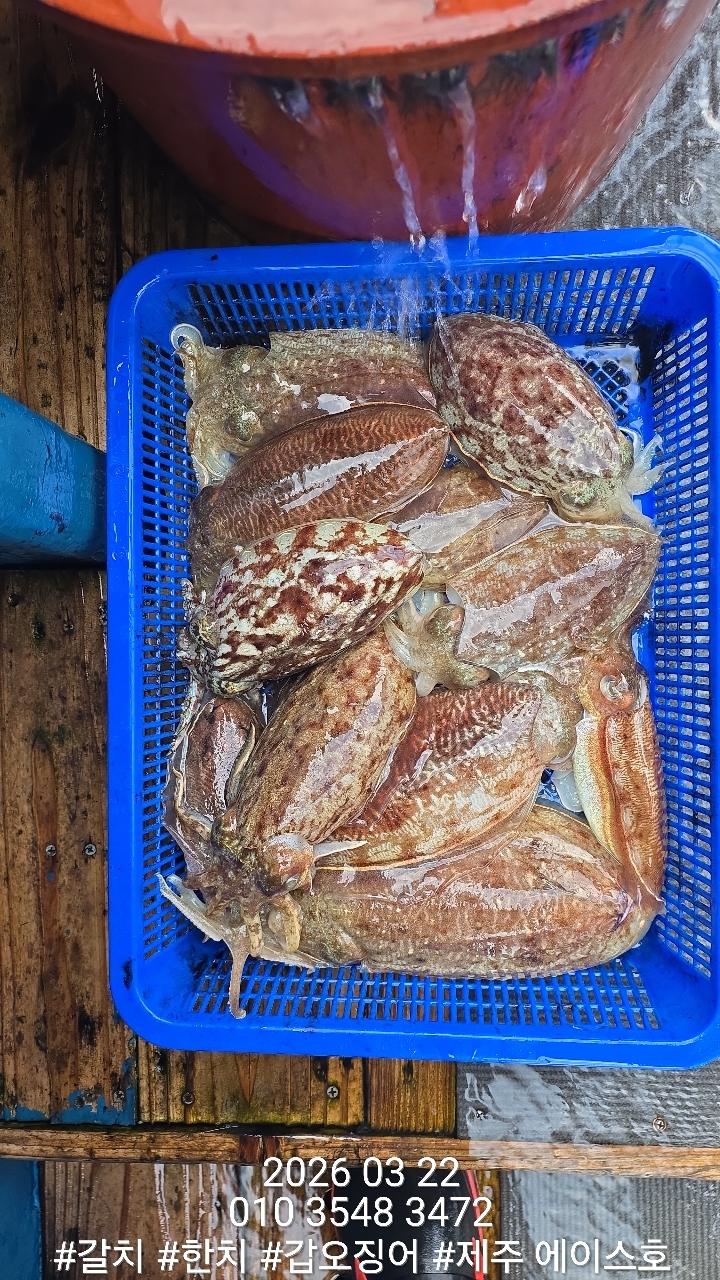 f1c4d1c562d69e0f5d1a4e4843b5b1cc_1774228995_6495.jpg f1c4d1c562d69e0f5d1a4e4843b5b1cc_1774228995_6495.jpg