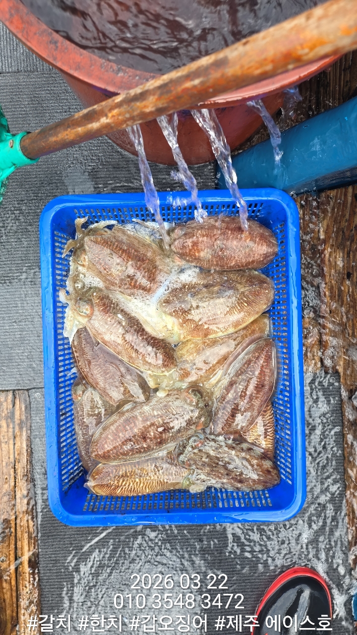 f1c4d1c562d69e0f5d1a4e4843b5b1cc_1774228995_8276.jpg f1c4d1c562d69e0f5d1a4e4843b5b1cc_1774228995_8276.jpg