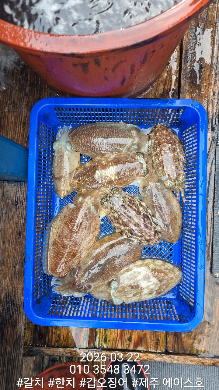 f1c4d1c562d69e0f5d1a4e4843b5b1cc_1774228996_0516.jpg f1c4d1c562d69e0f5d1a4e4843b5b1cc_1774228996_0516.jpg