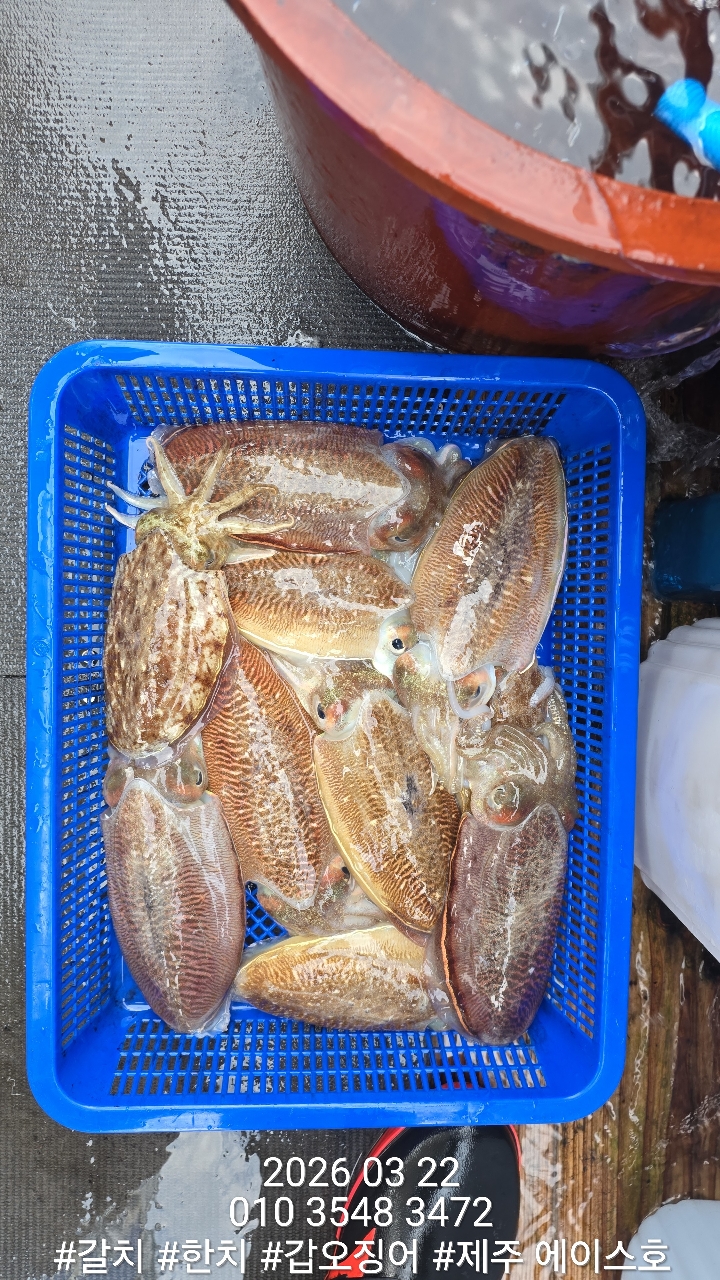 f1c4d1c562d69e0f5d1a4e4843b5b1cc_1774228996_2957.jpg f1c4d1c562d69e0f5d1a4e4843b5b1cc_1774228996_2957.jpg