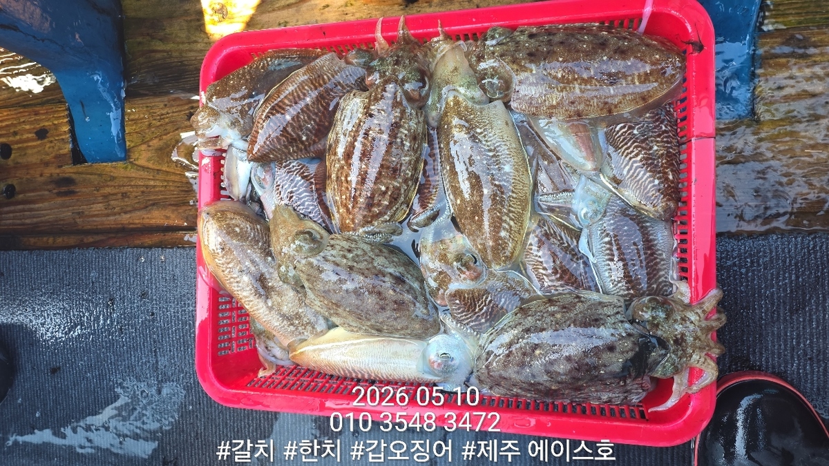 0a0d7c998b5781c6b864088f3526ae05_1778455362_9911.jpg 0a0d7c998b5781c6b864088f3526ae05_1778455362_9911.jpg