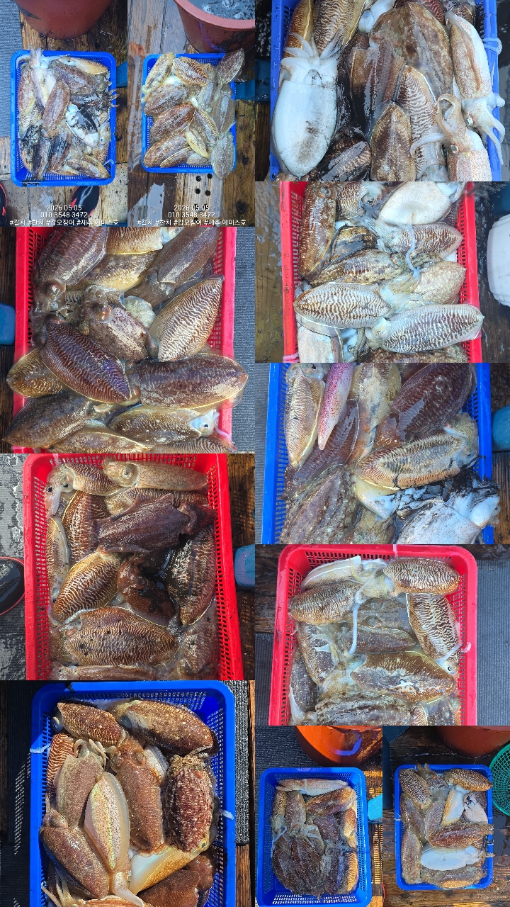 4da160ef369509fad5ccde244d1a581b_1778025106_0151.jpg